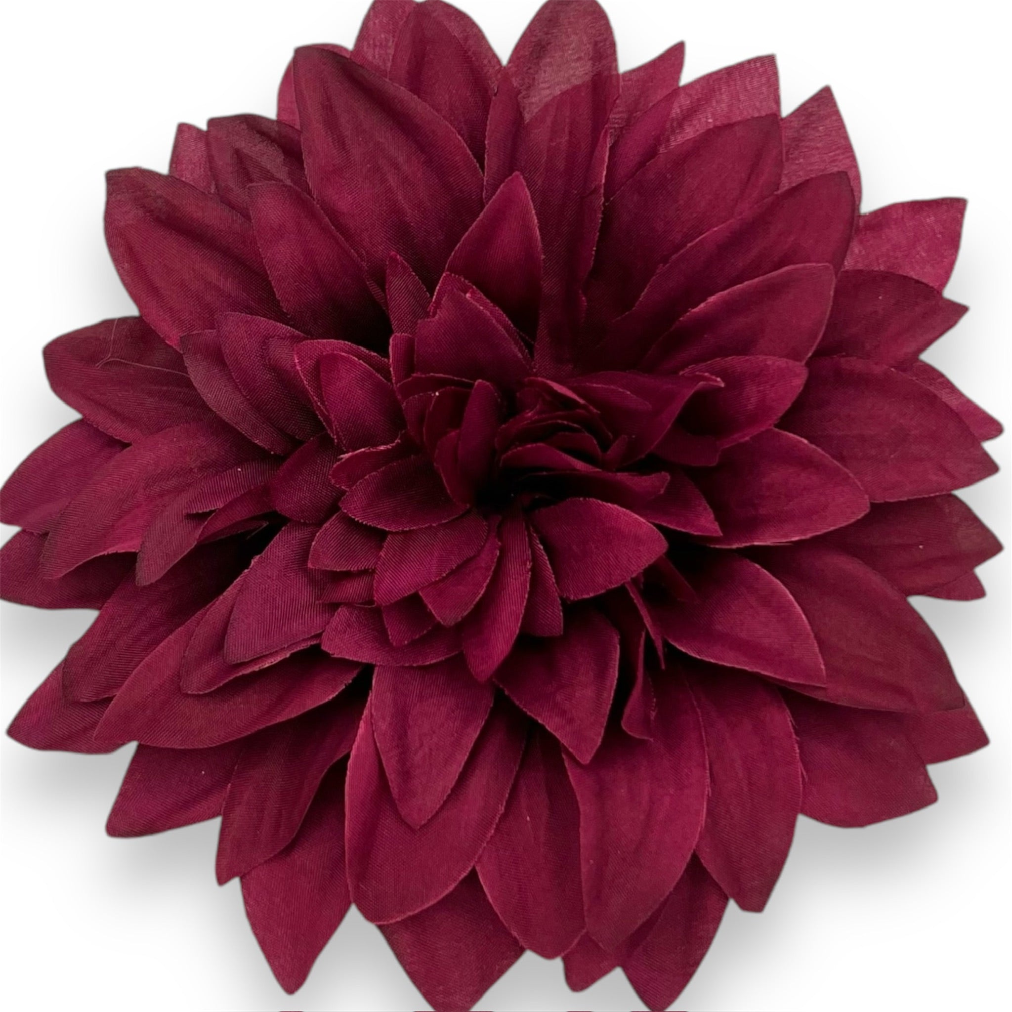 Fall Dhalias