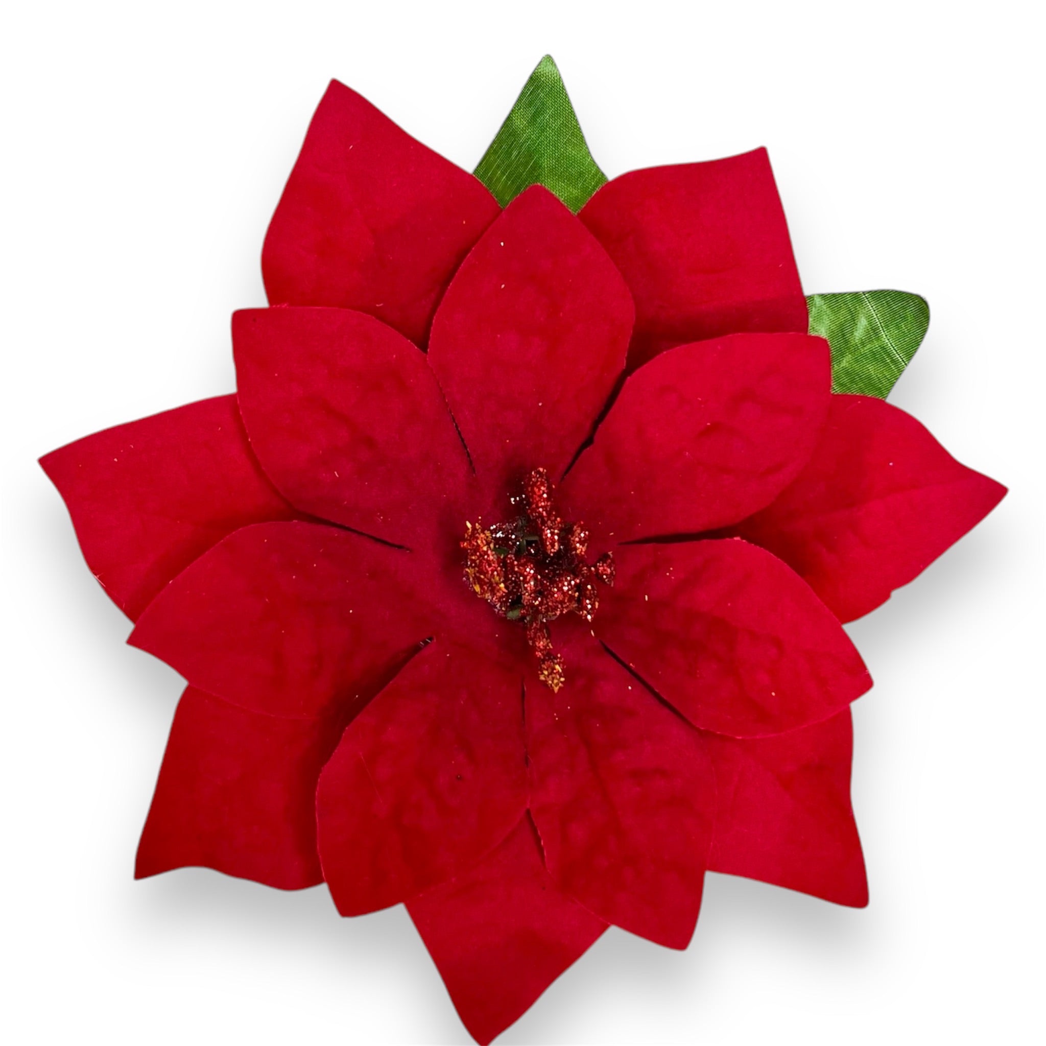 Classic Poinsettia