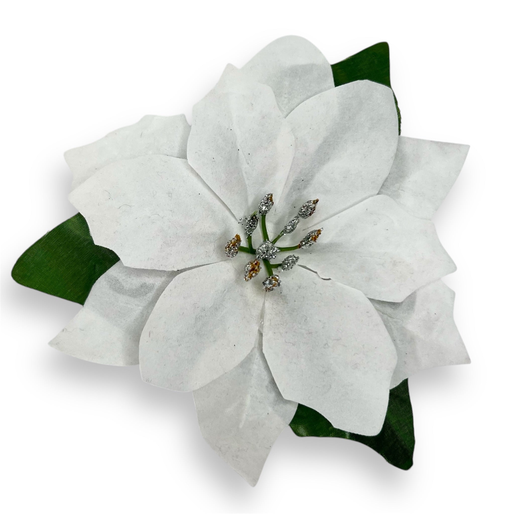 Classic Poinsettia