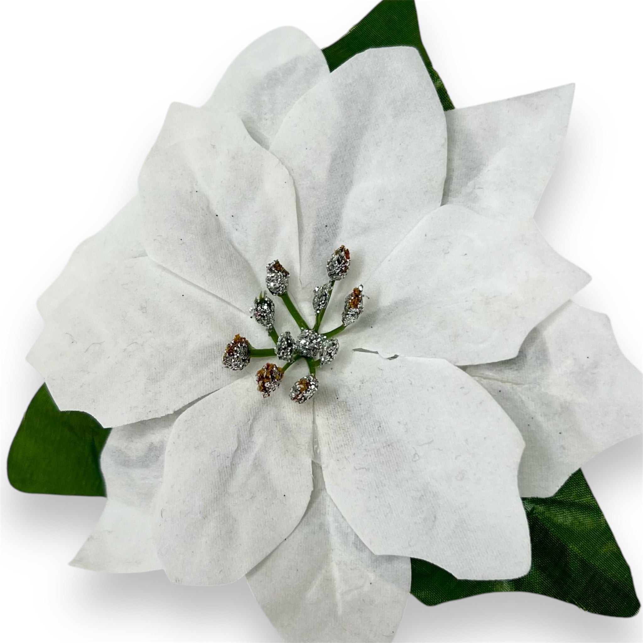 Classic Poinsettia