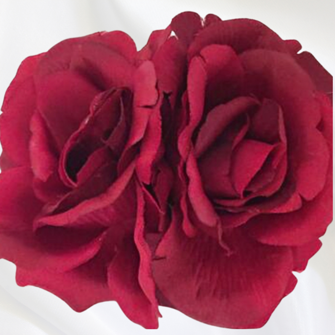 Jenny's Roses